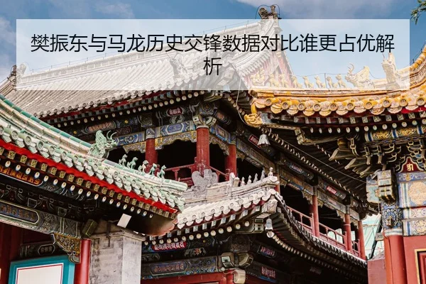 樊振东与马龙历史交锋数据对比谁更占优解析